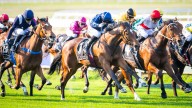RACING 
                                          Comments
                                        
                                          Premium
                                        Talkan