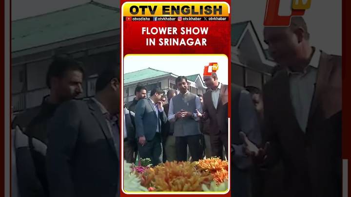 Flower Show Organized At Lal Chowk By SKUAST-K And Srinagar Municipal Corporation