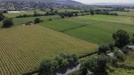 Modernizan el campo sanjuanense con el uso de drones