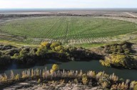 La Colonia Menonita de Guatraché invierte en Río Negro: compraron 5.000 hectáreas