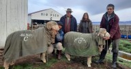 La estancia de Chubut que nació en 1930 y es muy fuerte en la producción de ganado ovino y lana fina