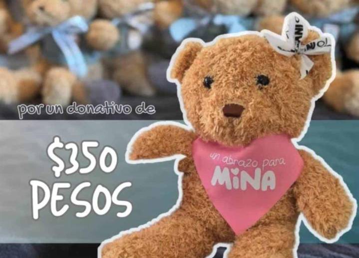 Lanzan campaña en apoyo a la osa Mina