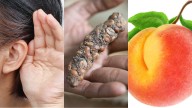 This Week in Science: Hearing 'Voices', Poop Coffee, Butt Breathing, And More!