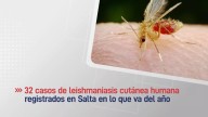 Suman 32 los casos de leishmaniasis cutánea humana en la provincia