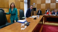 Natalia Chueca carga contra el PSOE por el cercanías y reprueban a Puente y Alegría