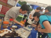 3° Expo UNNE: la universidad muestra su oferta académica