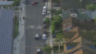 South LA hit-and-run crash under investigation