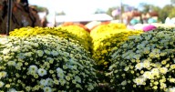 Items for first responders at Tenn. explosion site: A list of what and how to donate