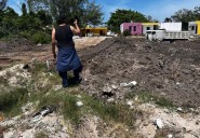 Analizan alteraciones en la salud por sargazo en Mahahual y Xcalak