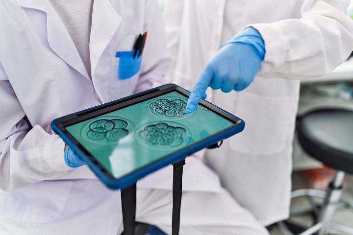 Scientists Grow Egg Cells From Human Skin in New Study