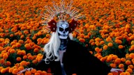 ¿Cuál es el origen e historia del Día de Muertos en México y por qué se celebra?
