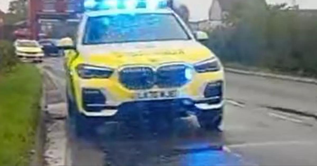Two in Royal Stoke after car smashes into hedge and telegraph pole