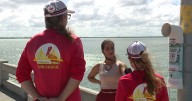 Pelicans in Peril: Skyway Bridge fishing piers causing daily bird injuries