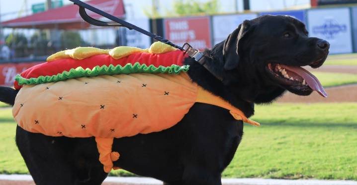 Friday morning Rangers things