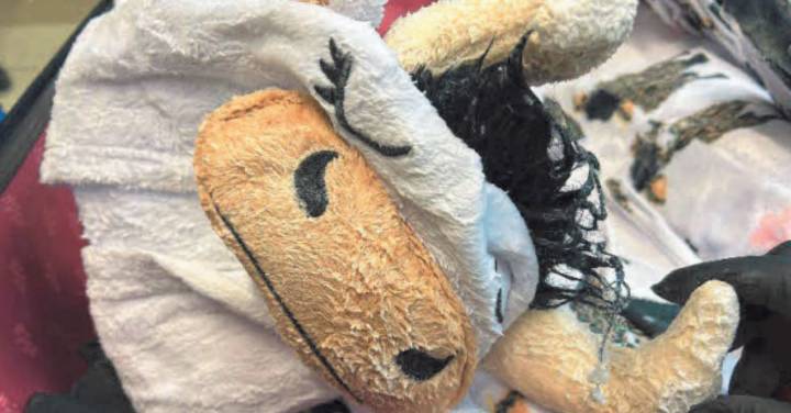 Meth-covered cow onesie smuggler with drug-caked clothes in luggage on flight receives fate