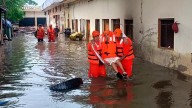 As Floodwaters Recede, Punjab Begins Rebuilding Fields, Restoring Lives, And Redefining Its Climate Crisis Response