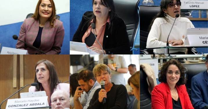 Legisladoras se unen para impulsar una ley de recuperación oncoestética en Río Negro