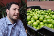 Encuentran sin vida a Bernardo Bravo, productor limonero de Michoacán