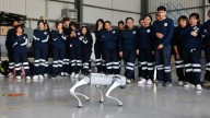 Zapopan usa “cyberperros” de 800 mil para exhibiciones y no para seguridad como prometió