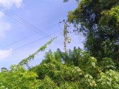Voz Comunitaria | La ausencia de transporte público complica la vida de habitantes de Moropocualito en Guanta