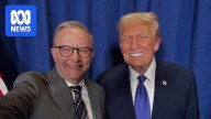 Anthony Albanese is set to sit down with Donald Trump. What can he learn from other world leaders?
