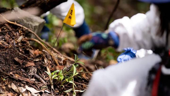 Hallan fosa clandestina en Nicolás Romero con dos cuerpos