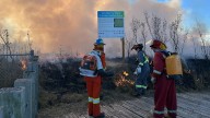 Good burn: Prescribed fire is medicine for Sask. grasslands