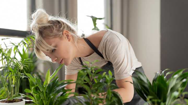 11 Perennials To Bring Indoors Before Winter To Ensure A Vibrant Spring Garden