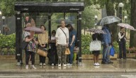 Where in Chicago do you feel most connected to your neighbors or other Chicagoans? Here's what you told us.