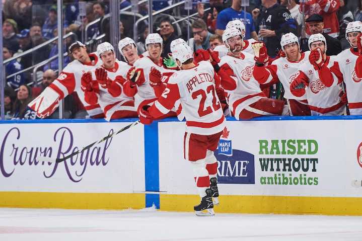 Get tickets to see the Red Wings host the Lightning for as low as