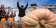 Northern California EV engineer has a hobby growing massive pumpkins and his 2,300
