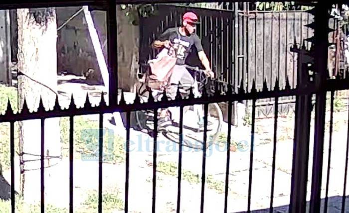 Ladrón en bicicleta vuelve a operar: De una patada por la espalda asaltó a adulta mayor