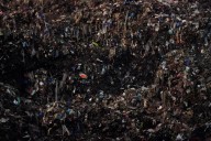 The food you toss costs you plenty and emits tons of pollution. We’ve got tips on how to cut down