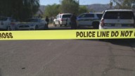 Mental health crises led to 6 shootings involving police; 5 of them were deadly