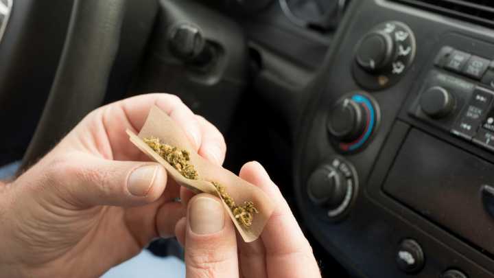 Fla. court ruling: Police can't search cars based only on pot smell