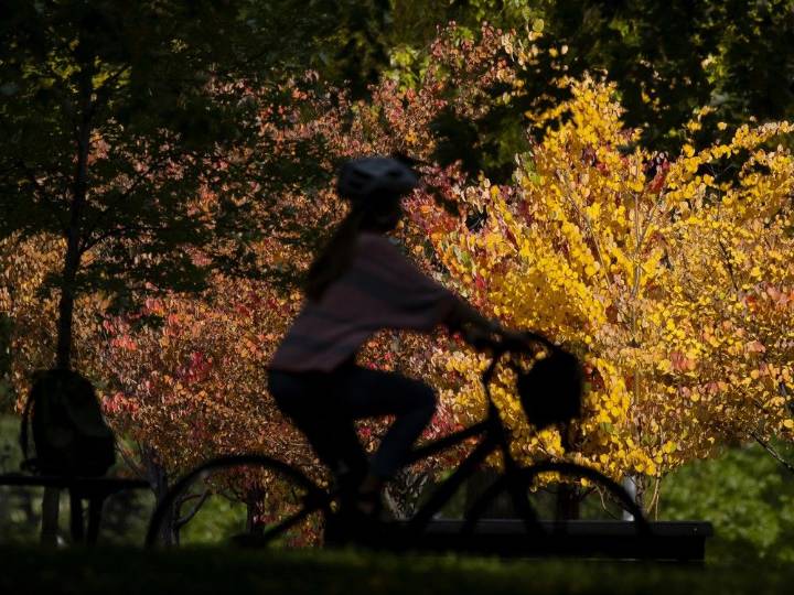 Montreal weather: Winter remains in sight, but is not yet upon us