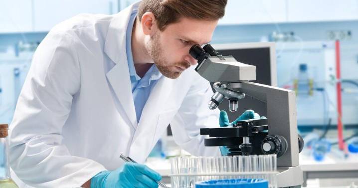 State police report 12 percent hike in toxicology cases