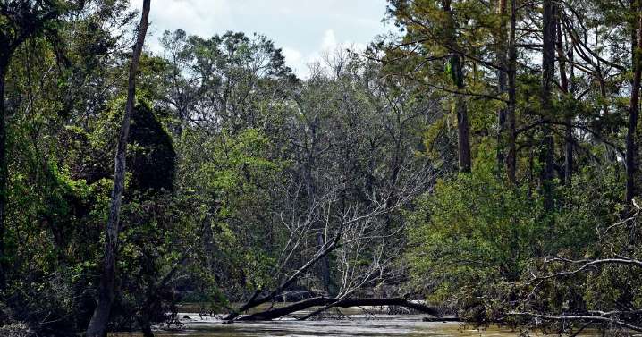 40 years after the flood, more money is heading to Tangipahoa Parish