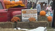 Pumpkin Express Prepares to Rolls Back Into Horseheads for Its Ninth Year