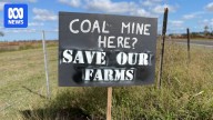 Fox Resources collapses, but fight against coal exploration in Bundaberg food bowl continues