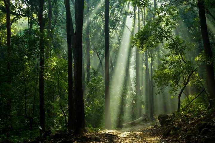 Cien líderes hispanos impulsan acción climática global desde política, ciencia y activismo