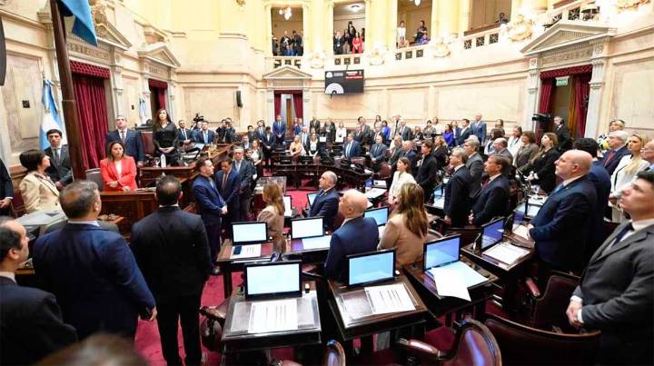 El Senado rechazó los vetos a las leyes de Financiamiento Universitario y de fondos para el Garrahan