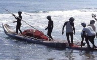 47 Indian Fishermen Detained by Sri Lankan Navy for Alleged Illegal Fishing