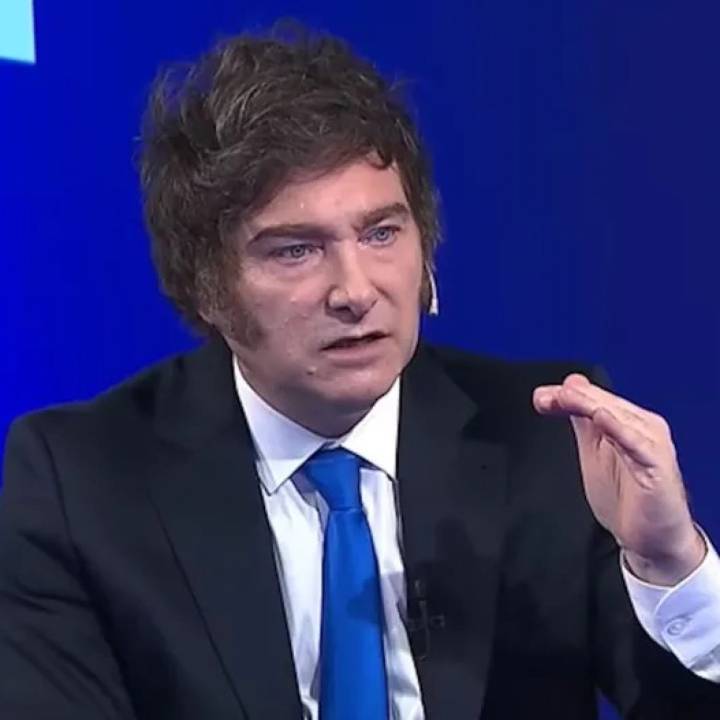 Javier Milei: "Un buen resultado (electoral) sería uno que me asegurara un tercio en la cámara"