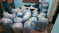 Interceptaron una camioneta con pedido de secuestro con más de 500 kilos de hojas de coca en Pozo Hondo
