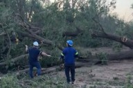 Talaban un árbol, cayó sobre el tendido eléctrico y buena parte de Toay quedó sin luz