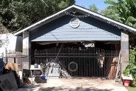 Texas Man Killed by His Own Dogs