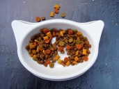 Frozen Pet Food Recall: Salmonella Risk in Raw Bistro Beef Entrée