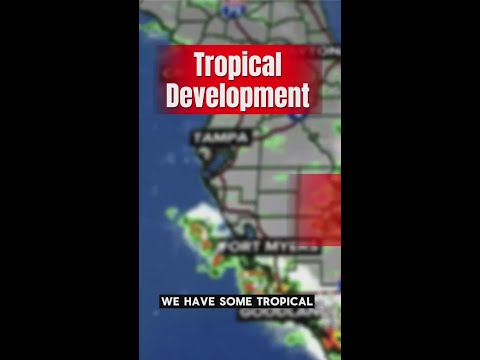 Cooler air on the way to Tampa Bay, and a tropical system on the map