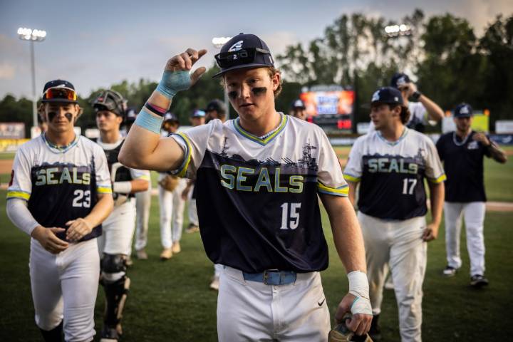 Chesapeake’s American Legion champs denied trip to World Series, a nearly 100